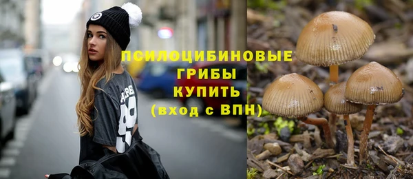 крисы Алексеевка