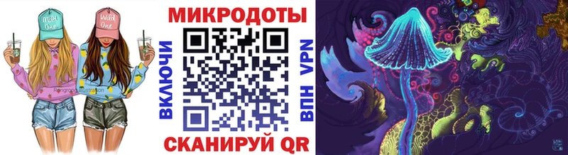 как найти   Билибино  Псилоцибиновые грибы мицелий 