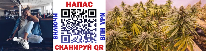 Бошки марихуана гибрид  blacksprut рабочий сайт  Билибино 